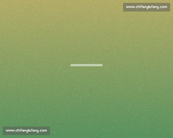 韦德揭秘梦八真硬仗：队内训练比奥运正赛更激烈