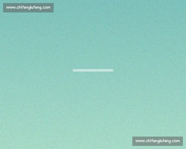 张蔷音乐风格的演变与影响:从摇滚女王到时代符号的跨越